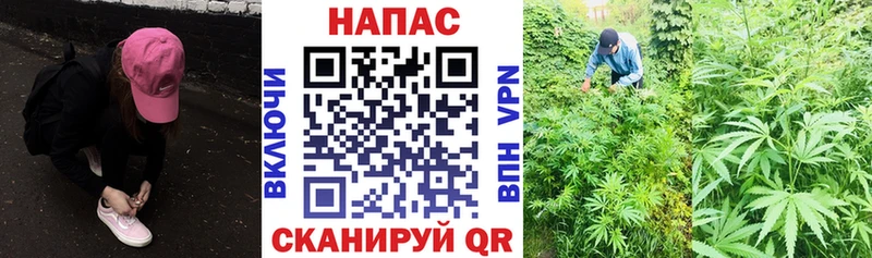 Конопля LSD WEED  Солигалич 
